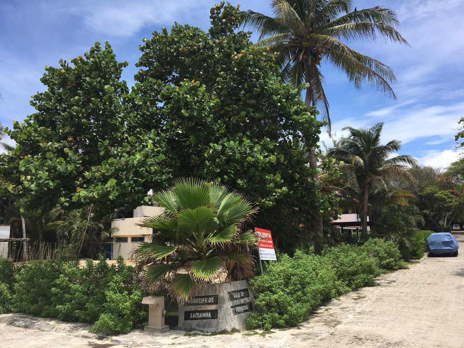 View from beach access